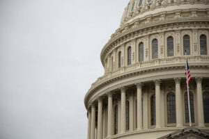 Fedeal Extension Capitol Building